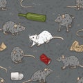 Pattern with gray rats with labaratory rat and trash