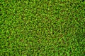 Pattern of green artificial grass background texture Royalty Free Stock Photo