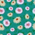 Pattern, on a green background, colorful flowers, vector illustration Royalty Free Stock Photo