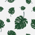 Pattern of green palm leaves seamless isolated on white background , vector