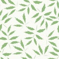 Pattern with green poppy leaves for cards, posters, design