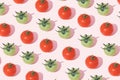 A pattern of green and red tomatoes with a stalk on a pink background. Minimal vegetablest flat lay Royalty Free Stock Photo