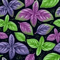 Pattern with green and violet basil leaves