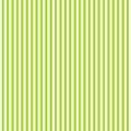 Pattern with green  and white stripes. Royalty Free Stock Photo