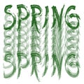 Pattern of green words `SPRING`. Rough brush inscription. Isolated element.