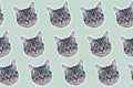 Pattern of grey cat faces, with white contour on pastel beige background. Contemporary artwork collage concept.