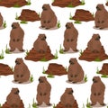 A pattern of groundhogs for groundhog Day with a burrow from which he got out. a harbinger of spring. Festive packaging Royalty Free Stock Photo