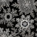 A pattern of intricate lace-like snowflakes, capturing the beauty and delicacy of winter1