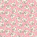 Pattern with kitty with a lovely face. Freaky comic cat face Royalty Free Stock Photo