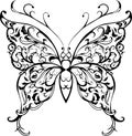 Pattern lace butterfly Royalty Free Stock Photo