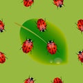 The pattern with ladybirds on a leaf. Royalty Free Stock Photo