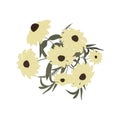 Pattern with large beige daisies with leaves in a bouquet. Illustration of flowers on a white background