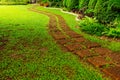 Pattern of Laterite stepping stone on a green Lawn backyard in the public park. Royalty Free Stock Photo