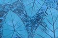 Pattern of leaf stamped on blue pastel concrete pavement for decorate walkways in the garden