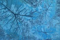 Pattern of leaf stamped on blue pastel concrete pavement for decorate walkways in the garden