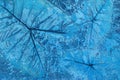 Pattern of leaf stamped on blue pastel concrete pavement for decorate walkways in the garden