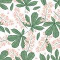 Pattern with leaves and flowers chestnut tree Royalty Free Stock Photo