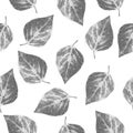 Pattern leaves garden black and white gray background Wallpaper art design creativity print textile interior decoration vintage gr Royalty Free Stock Photo
