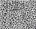 Pattern of leopard skin