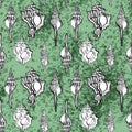 Pattern with linear seashells on light grass green background with texture