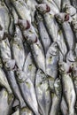 Pattern made with bluefish seafood of the Mediterranean Sea at the fish market