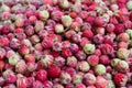 Pattern made of large group of mature red freshly picked strawberries