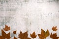 Pattern made of red and yellow fall leaves on concrete background, autumn concept