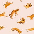 Pattern of many ginger flying jumping, dance funny cats, on a light background, set collage