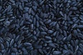 A pattern of many unprocessed fried sunflower seeds in a black shell Royalty Free Stock Photo