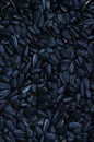 A pattern of many unprocessed fried sunflower seeds in a black shell Royalty Free Stock Photo