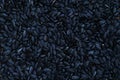 A pattern of many unprocessed fried sunflower seeds in a black shell Royalty Free Stock Photo