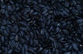 A pattern of many unprocessed fried sunflower seeds in a black shell Royalty Free Stock Photo