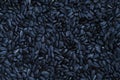 A pattern of many unprocessed fried sunflower seeds in a black shell