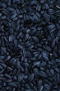 A pattern of many unprocessed fried sunflower seeds in a black shell Royalty Free Stock Photo