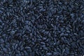 A pattern of many unprocessed fried sunflower seeds in a black shell Royalty Free Stock Photo