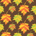 Pattern of maple leaves