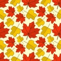 Pattern with maple and tulip poplar leaves