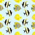 Pattern of Moorish idol, butterfly tropical fish and zebrasoma, yellow sailing fish. vector illustration