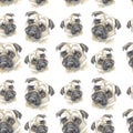 Pattern - mops Royalty Free Stock Photo