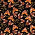 Pattern with moths and herbs