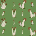 Pattern of mushrooms vector simple background isolated on green background. Coloured hand drawn version. Vector mycology