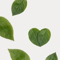 Pattern with Natural green leaves in heart shape design background. Ecology friendly minimal concept