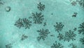 The pattern of natural snowflakes on a stone close-up Royalty Free Stock Photo