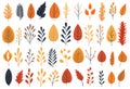 Pattern nature set leaf autumn art background Royalty Free Stock Photo