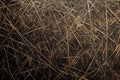 Pattern number 399, metal copper sheet hyper realistic drawing for backround work Royalty Free Stock Photo
