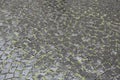 Pattern of old cobble stone street in rain Royalty Free Stock Photo