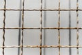 Pattern old metal lattice fence