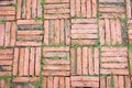 Pattern of old orange brick floor with green plant Royalty Free Stock Photo