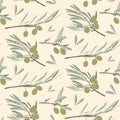 Pattern with olives. Hand drawn olive branch. Color vector pattern on a light background Royalty Free Stock Photo