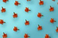 Pattern of orange cordia flower on blue background Royalty Free Stock Photo